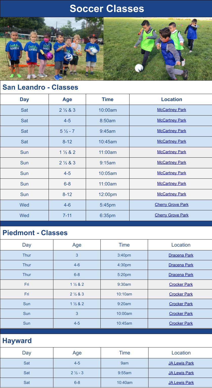 Soccer Class Season Schedule Options Graphic for Mail Chimp Email Grid