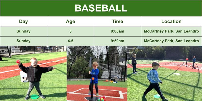 Summer Baseball Class Options Graphic for Mail Chimp Email Grid