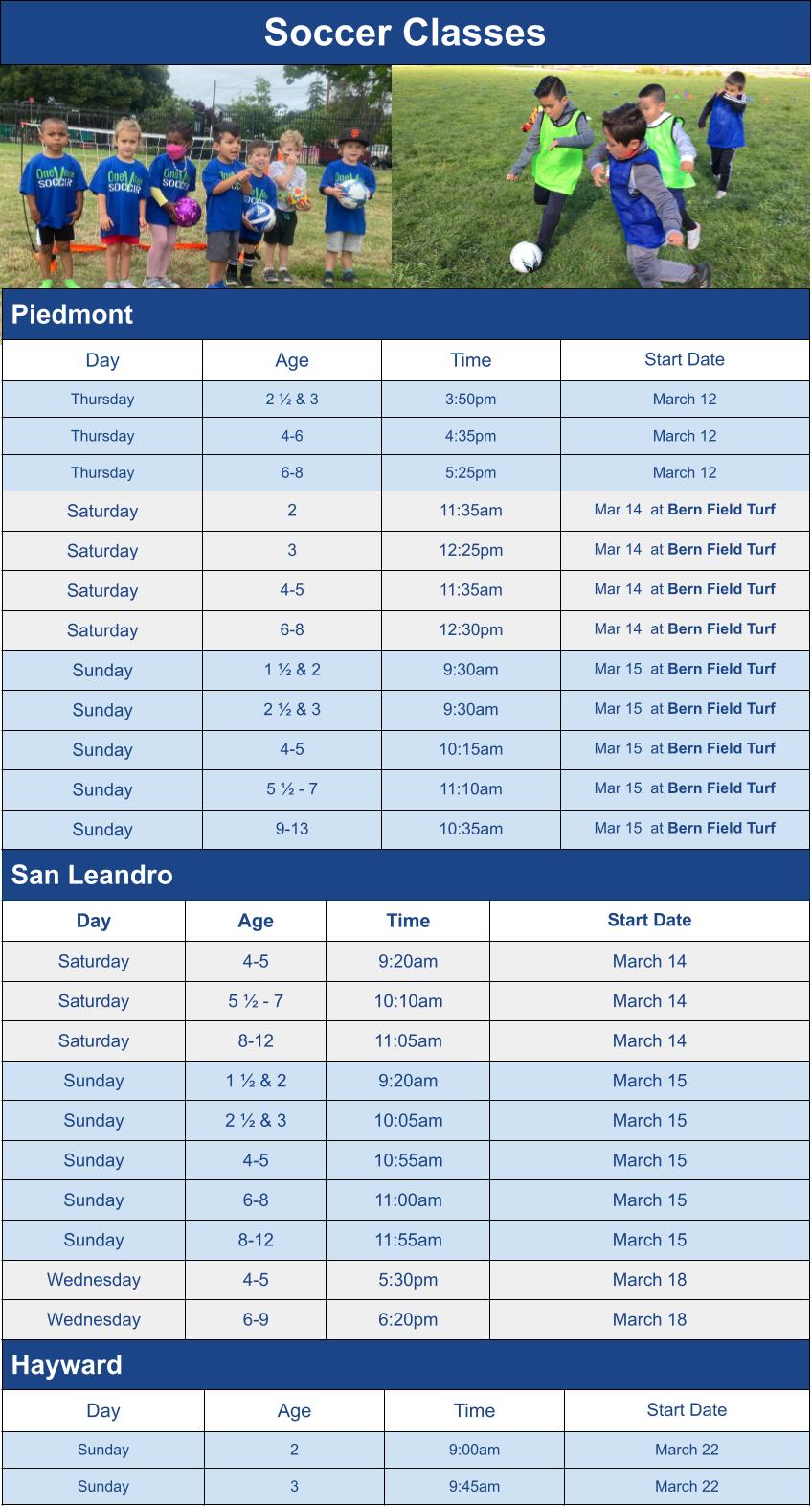 Spring Soccer Class Season Schedule Options Graphic for Mail Chimp Email Grid