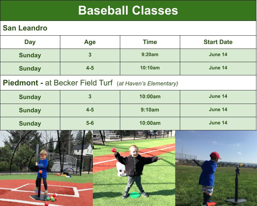 Baseball Class Options Graphic for Mail Chimp Email Grid