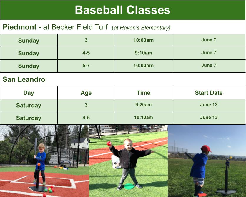 Baseball Class Options Graphic