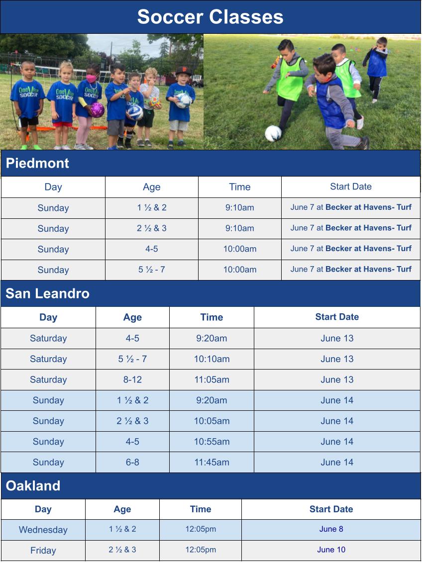 Summer Soccer Class Season Schedule Options Graphic for Mail Chimp Email Grid