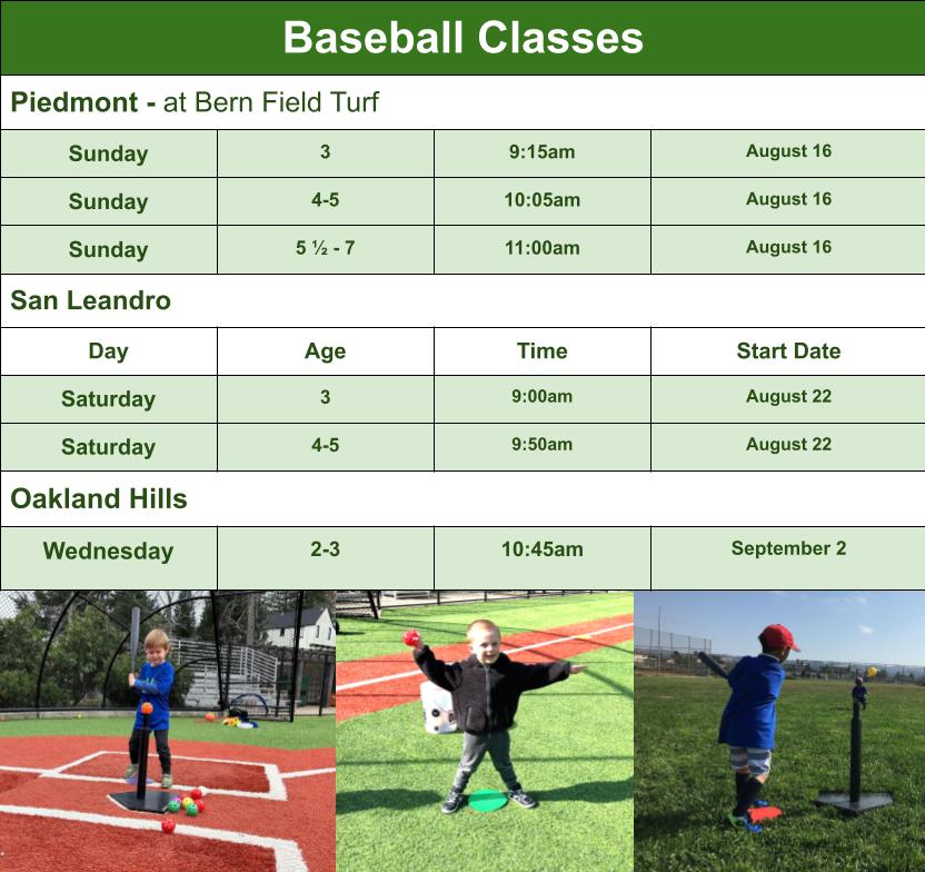 Baseball Class Options Graphic for Mail Chimp Email Grid