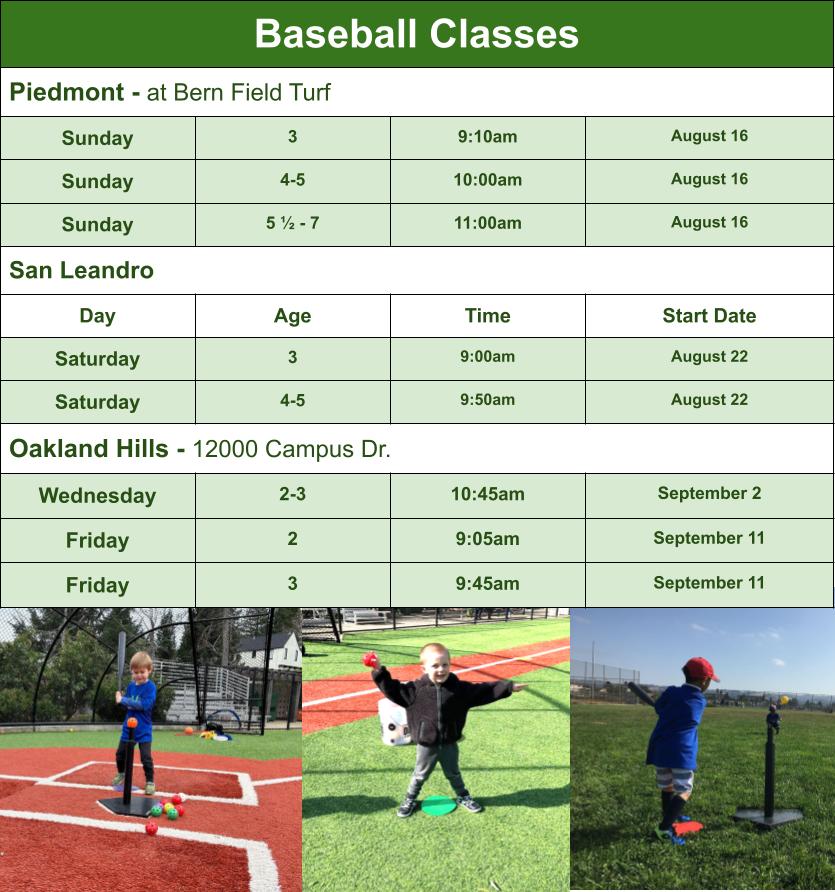 Baseball Class Options Graphic for Mail Chimp Email Grid