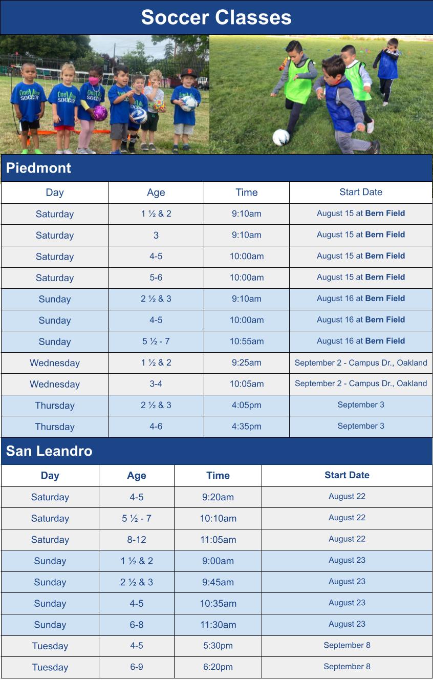 Summer Soccer Class Season Schedule Options Graphic for Mail Chimp Email Grid (1)