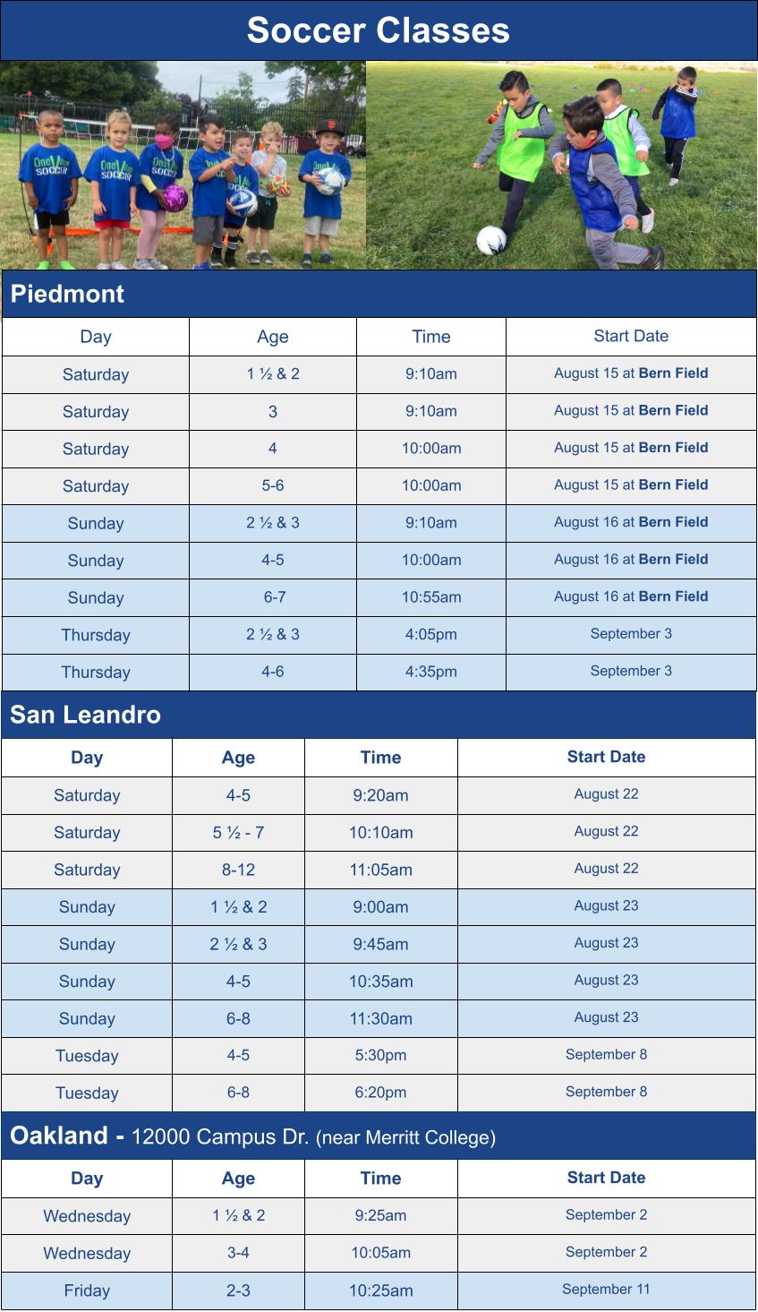Summer Soccer Class Season Schedule Options Graphic for Mail Chimp Email Grid
